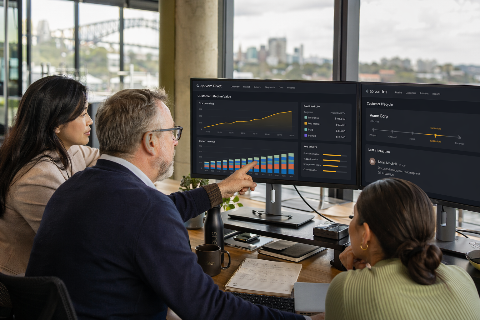 Customer Lifetime Value Analytics Dashboard